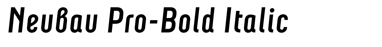 Neubau Pro-Bold Italic